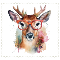 Deer24