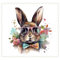 Rabbit56
