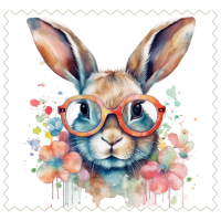 Rabbit57