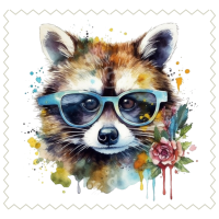 Raccoon13