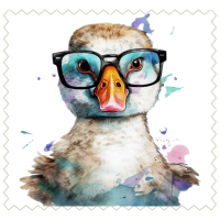 Duck11