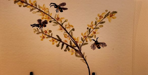 Bees on Dogwood Branch