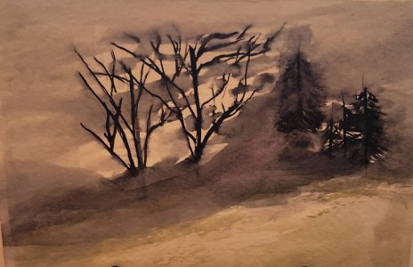 Winter in Monochrome