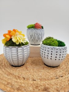 Preserved moss decorative pot, ceramic plant pot, nature inspired decor, house warming gift, shelf decoration, nature lover gift