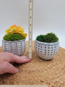 Preserved moss decorative pot, ceramic plant pot, nature inspired decor, house warming gift, shelf decoration, nature lover gift