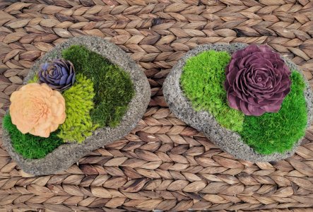 Preserved moss decorative accent, small indoor plant, faux stone planter, fake greenery