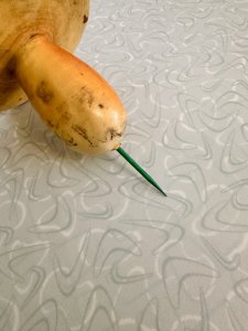 Mushroom with a Face, Halloween, fungus, shroom, vegan, Italian, chef gift, gardener gift, funny, creepy, spooky, teeth, gag gift, one of a kind, vegetable, anthropomorphic, kitchen decor, mushroom, shroom, fungus,