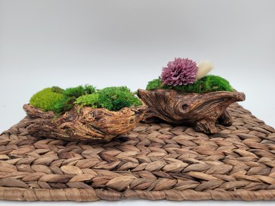 Faux log moss arrangement, preserved moss plant, decorative fake plant
