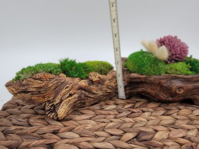 Faux log moss arrangement, preserved moss plant, decorative fake plant