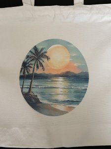 Medium size book bag with zipper/MZ054