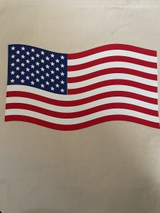 Canvas ,Vinyl tote bag/CV 024,CV025