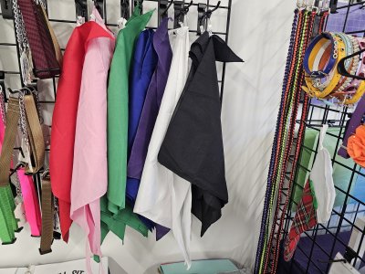 Dog Bandana with Fun Sayings in Vinyl