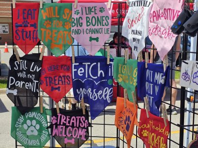 Dog Bandana with Fun Sayings in Vinyl