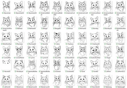 Cat Breed Vinyl Window Stickers