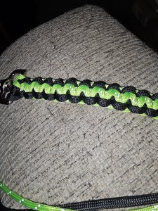 Paracord Leash
