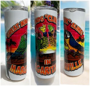 Great Minds Clink Alike 20 oz Tumbler