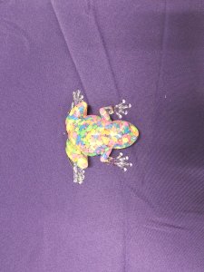 Epoxy Resin Faith the Frog