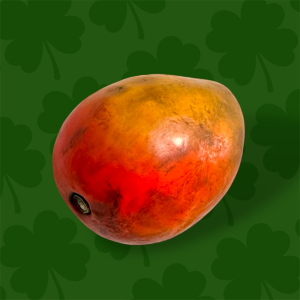 Mango with a Face, Halloween, tropical, fruit, vegan, chef gift, gardener gift, funny, creepy, spooky, teeth, gag gift, one of a kind, vegetable, anthropomorphic, kitchen decor