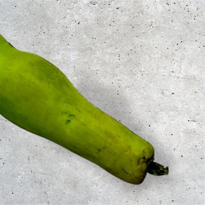 Green Bean with a Face, Halloween, string bean, lima bean, edamame, vegan gift, gardener gift, funny, creepy, spooky, teeth, gag gift, one of a kind, vegetable, anthropomorphic, kitchen decor