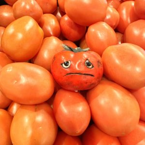 Tomato with a face, Halloween, vegan gift, gardener gift, funny, Italian chef gift, creepy, spooky, teeth, gag gift, one of a kind, vegetable, anthropomorphic, kitchen decoro with a face,