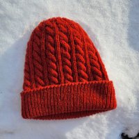 Burnt orange cabled hat