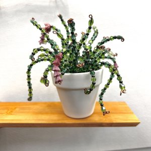 Mini Beaded Forever Plant
