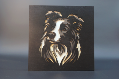 3D Border Collie Best Dog EVER!