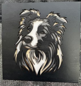 3D Border Collie Best Dog EVER!