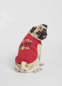 My Mom Is The Bomb - Dog Tee