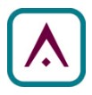 Anyon Systems