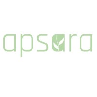 Apsara Investments