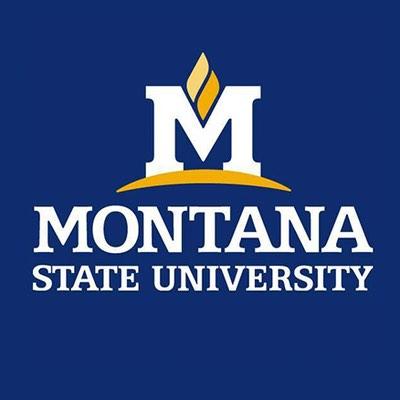 Montana State University