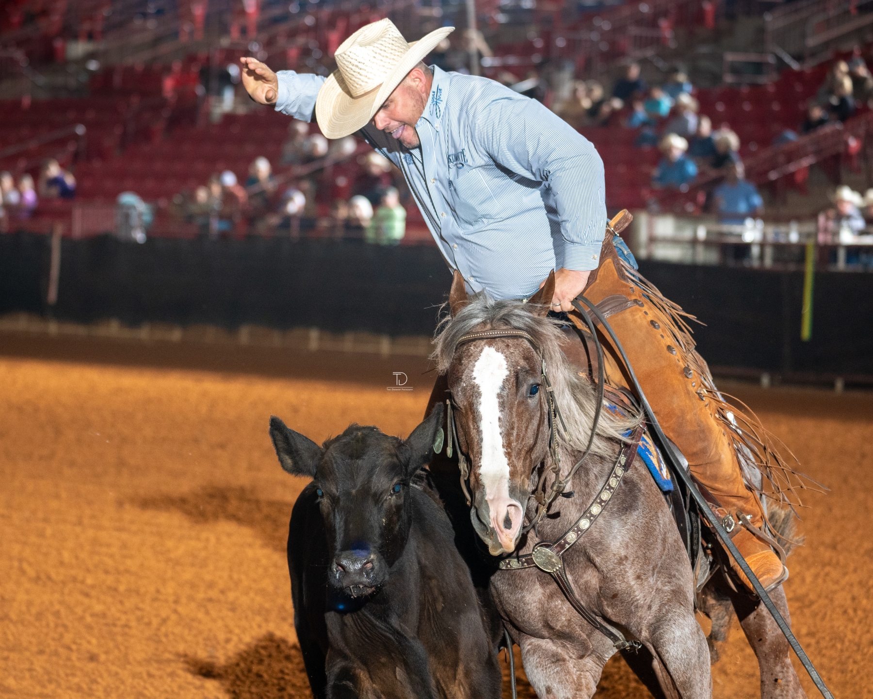 BUY ALL -  Louisiana Classic | 170_Travis_Trapper_Lowndes_Salutations_Ms_Clark_OPN_DERB_Sat_LA_CLASSIC_11_TDP02642.jpg