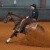 BUY ALL -  Louisiana Classic | 100_Taylor_Peters_A_Rey_Of_Sunshine_WED_OPN_DERB_RN_3_LA_CLASSIC_TDP02102.jpg