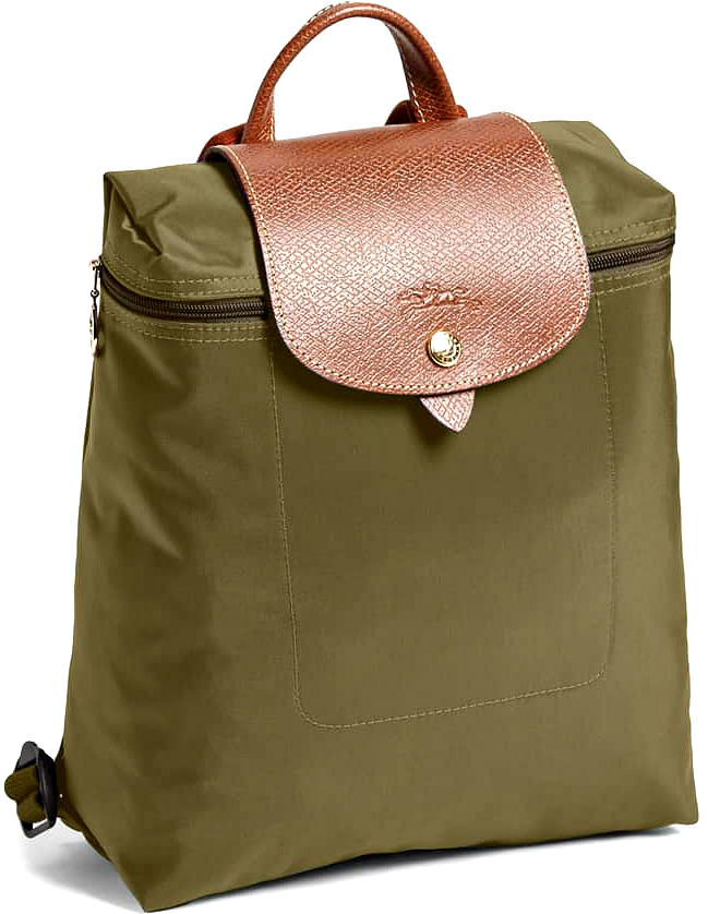Le Pliage Longchamp Backpack Review the Pros and Cons
