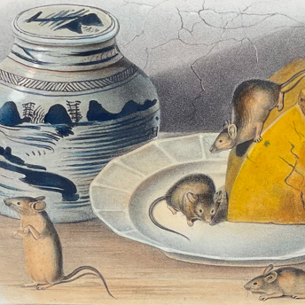Audubon Quadrupeds - Octavo