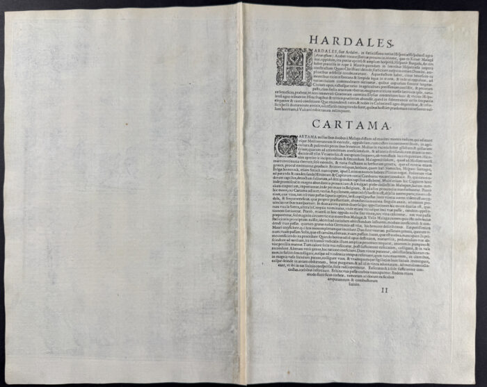 Views of Spain: Ardales & Cartama - Image 2