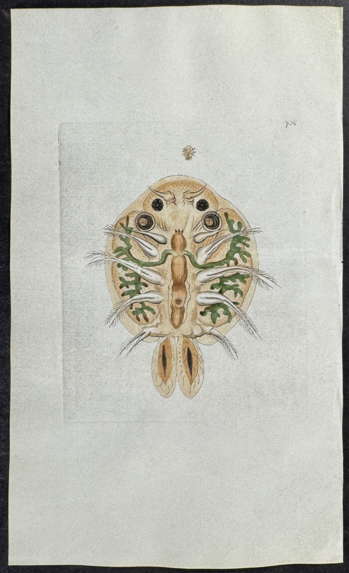 Crap Monoculus
