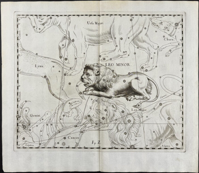 Constellation Chart: Leo Minor