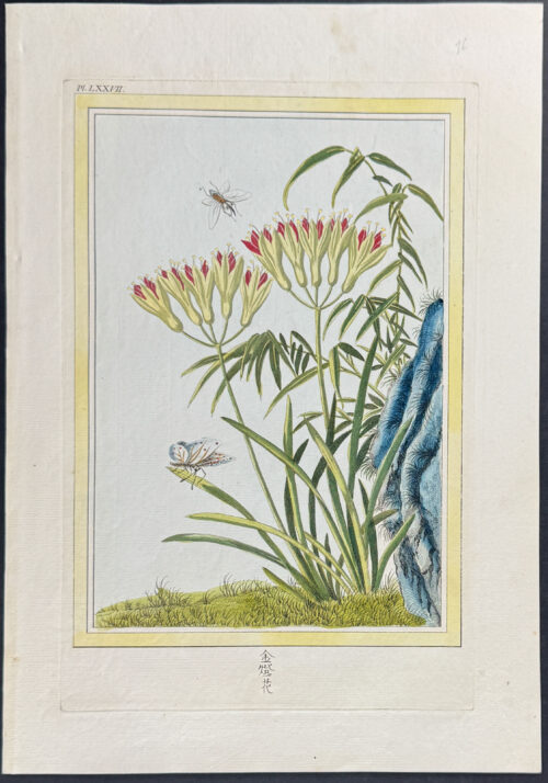 Bee, Moth or Butterfly, & Flowers