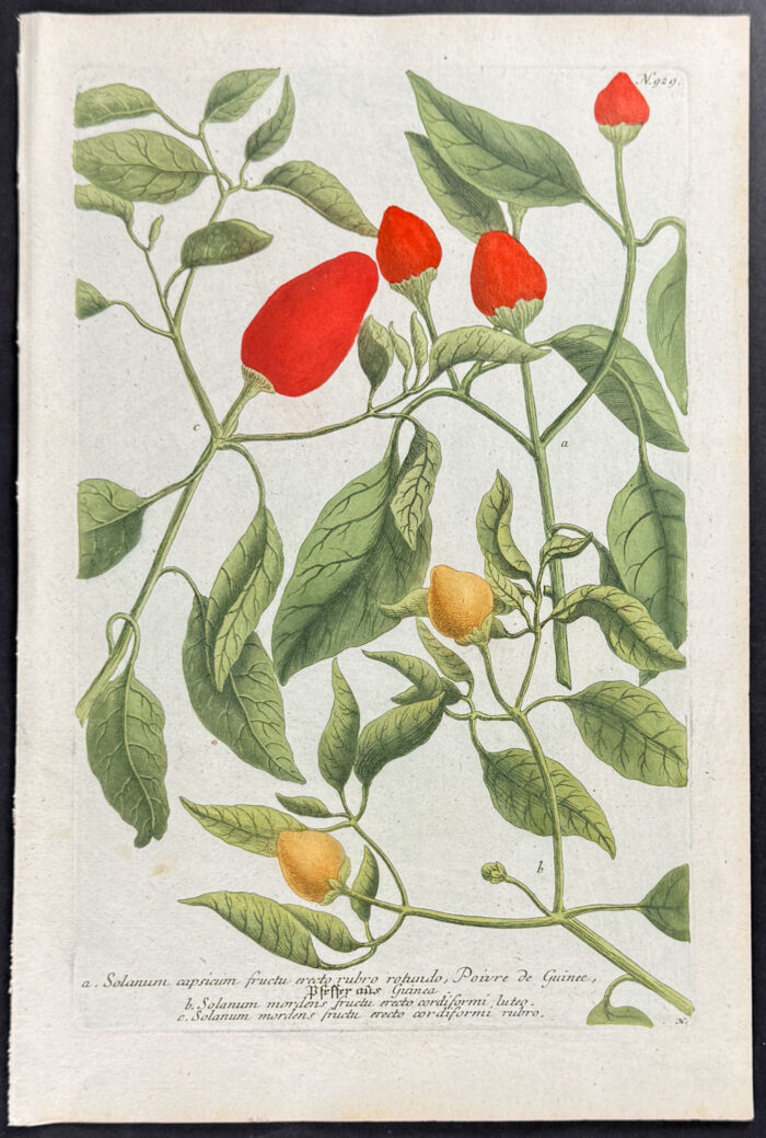 Peppers