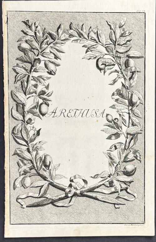 Citrus Branch Wreath - Arethusa