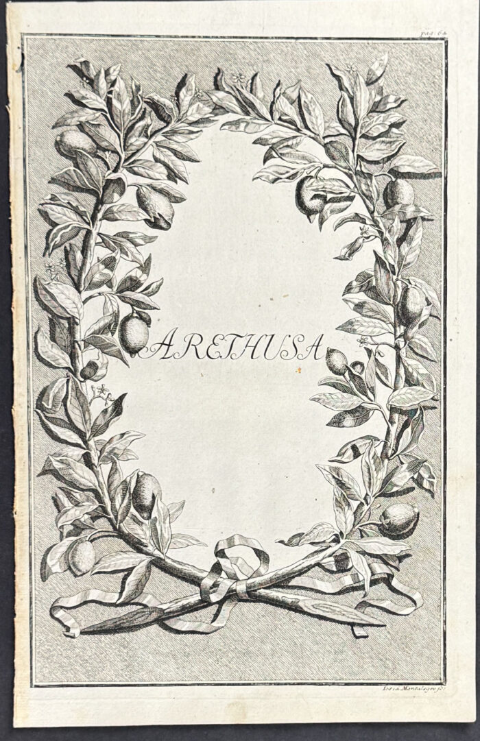 Citrus Branch Wreath - Arethusa