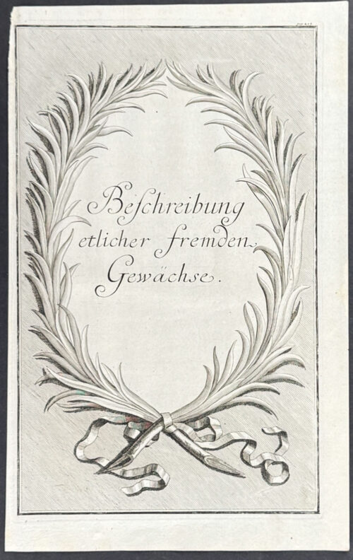 Citrus Branch Wreath - Befcheribung etlicher fremdem Gewachse