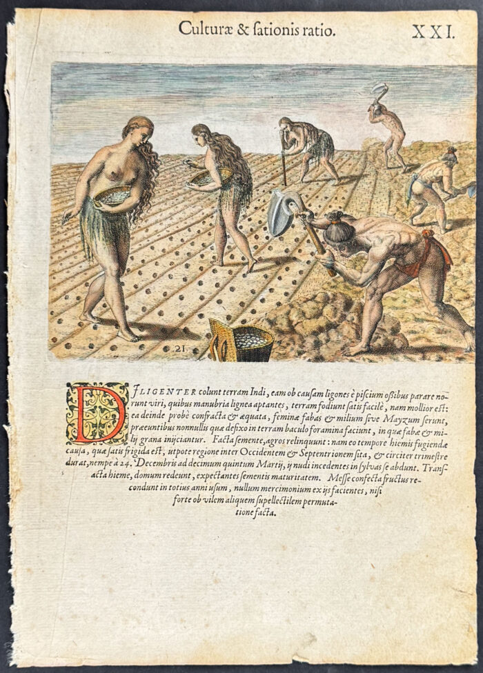 Florida - Mode of tilling and planting