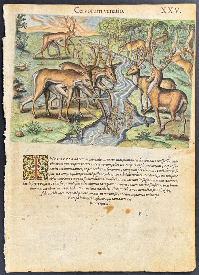Florida - Their manner of hunting (Deer)