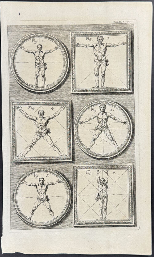 Diagrams of Man