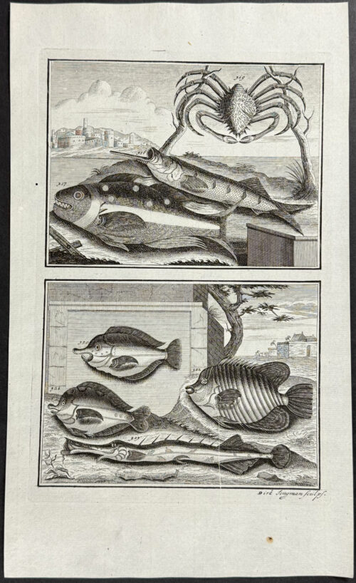 Fish, Sea Life, Crab