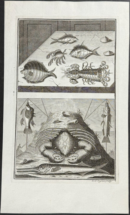 Fish, Sea Life, Crab, Lobster