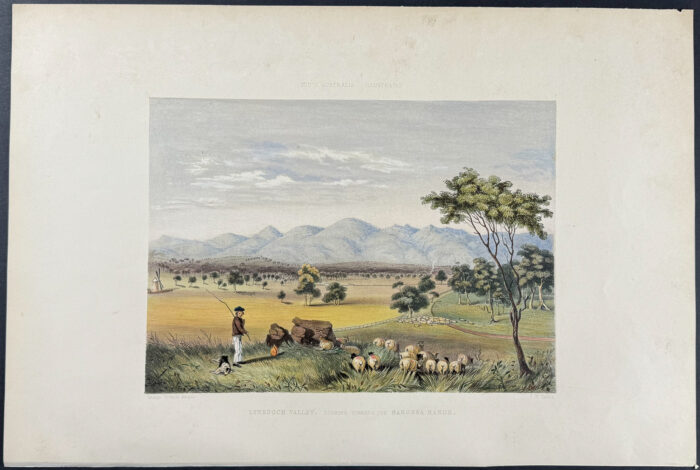 Lynedoch Valley, looking towards the Barossa Range